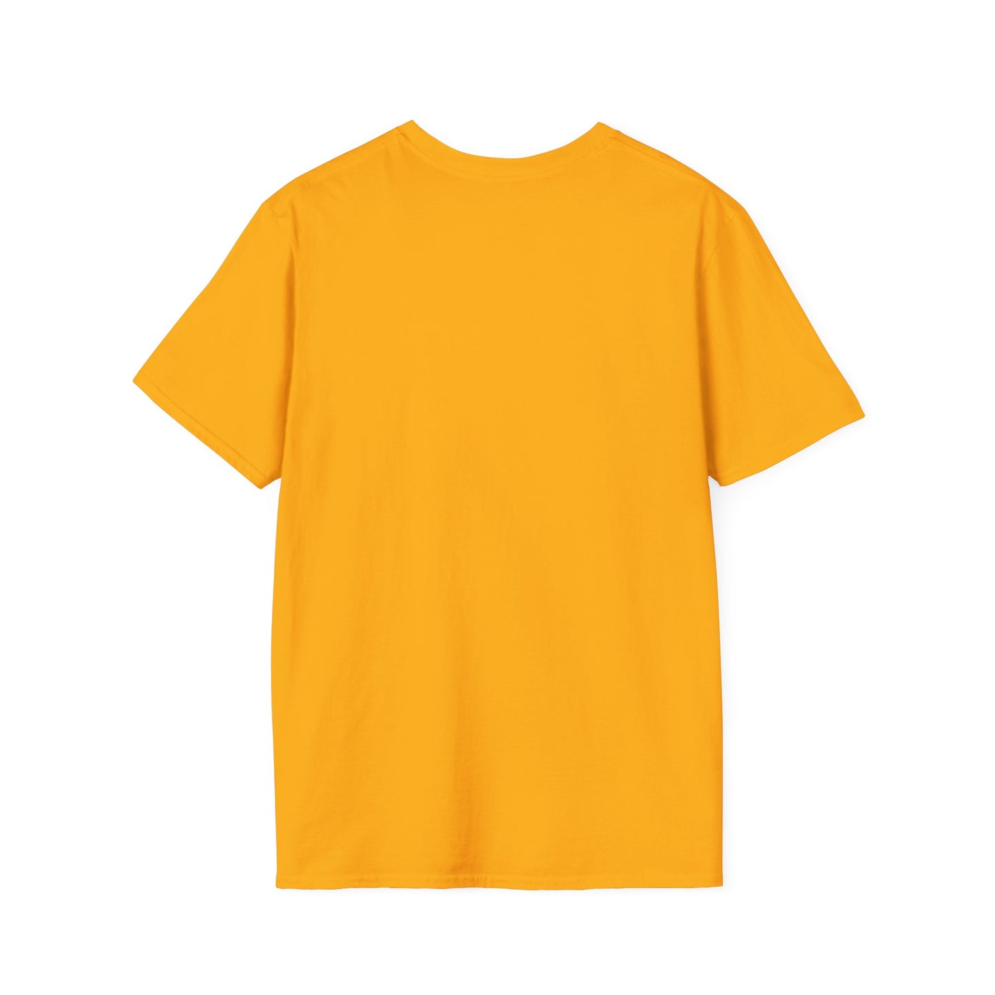 Unisex Softstyle T-Shirt: 'Ain't No Church Like The One I Got'